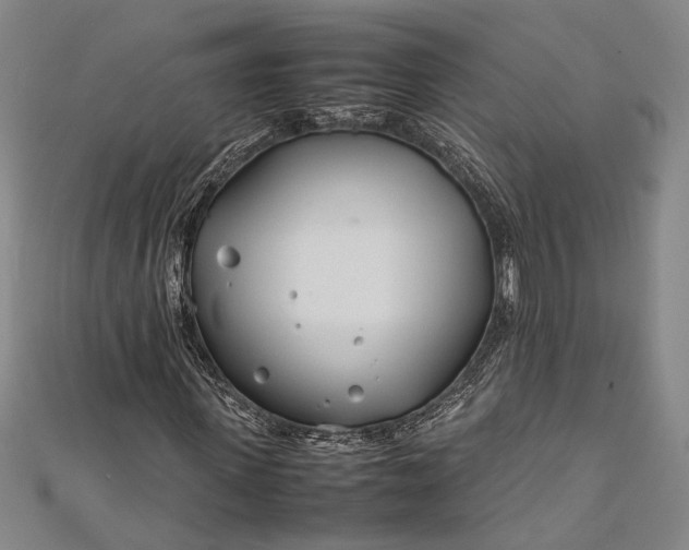 X0000112370915200908271314