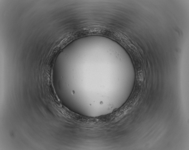 X0000112370916200908271314