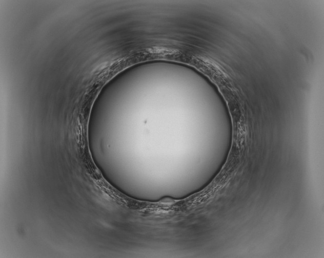 X0000112370917200908271314