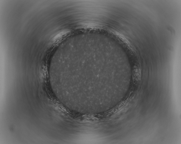 X0000112370918200908271314