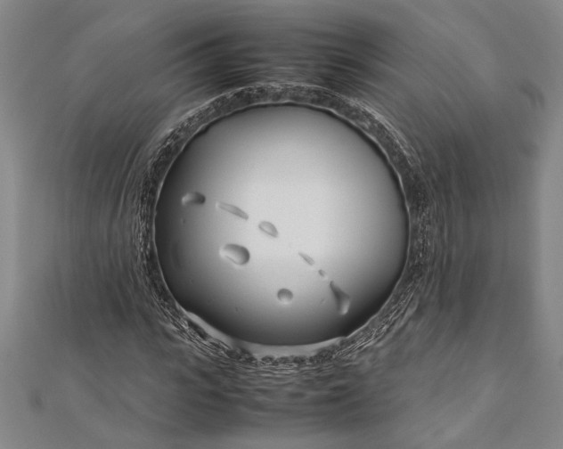 X0000112370919200908271314