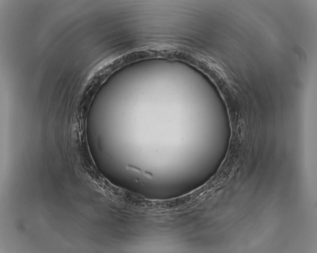 X0000112370920200908271314