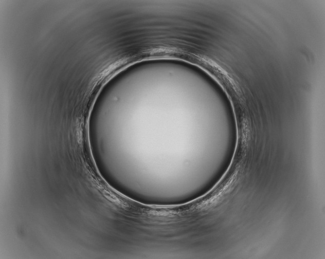 X0000112370921200908271314