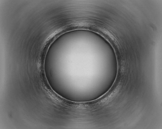 X0000112370922200908271314