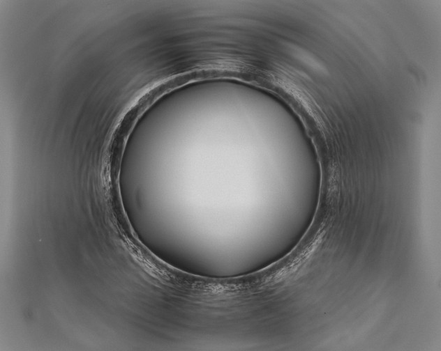 X0000112370923200908271315