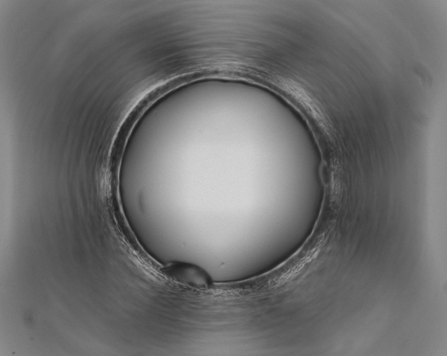 X0000112370924200908271315