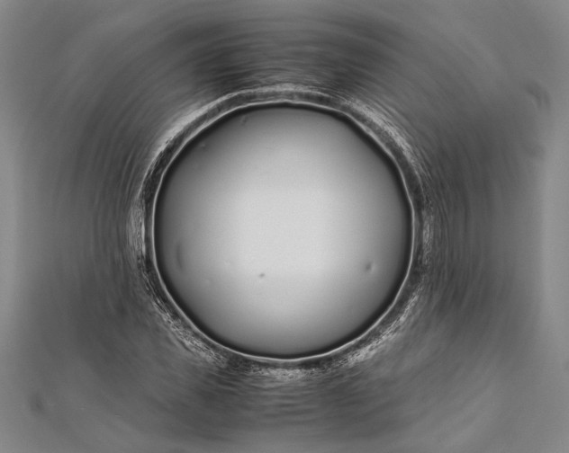 X0000112370925200908271315