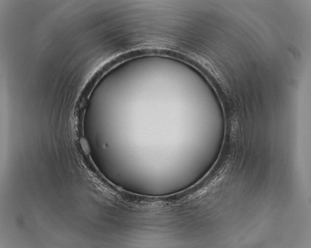 X0000112370926200908271315