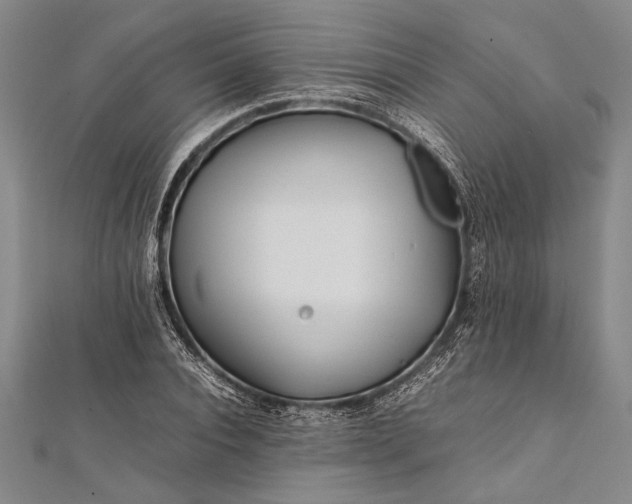 X0000112370928200908271315