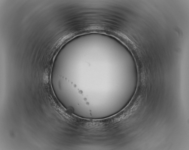 X0000112370929200908271315