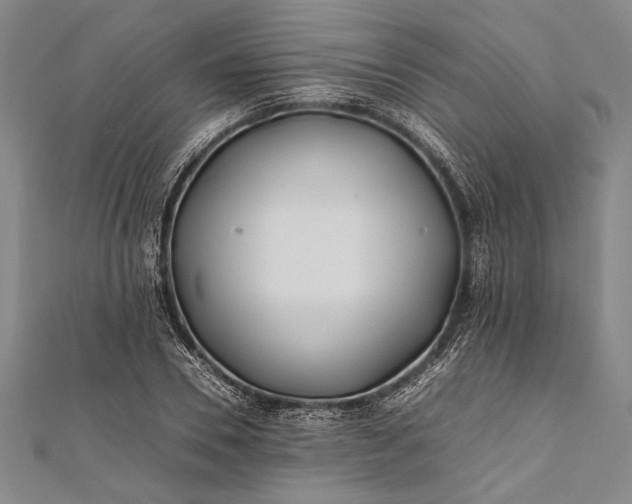 X0000112370930200908271315