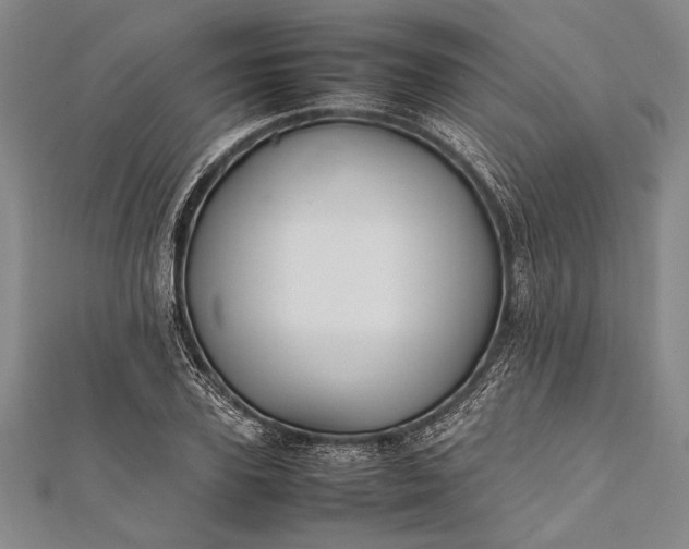 X0000112370931200908271315