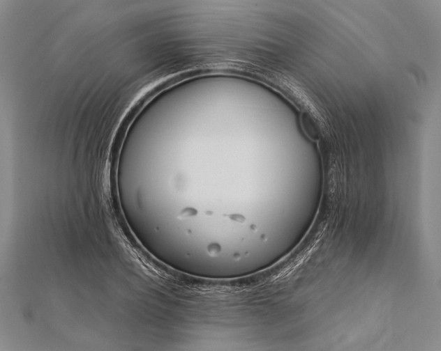 X0000112370932200908271315