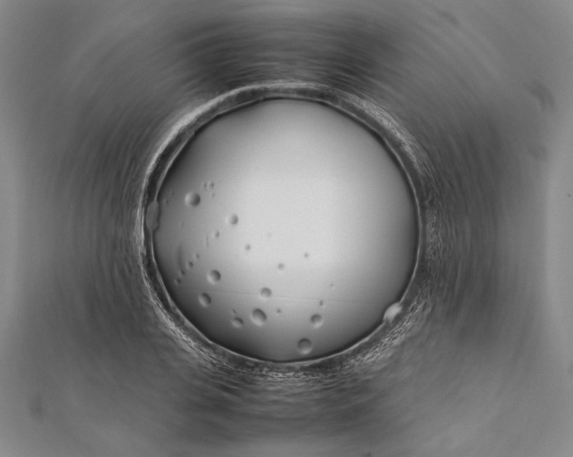 X0000112370935200908271315