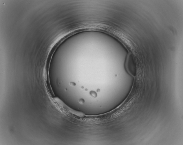 X0000112370936200908271315