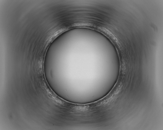 X0000112370937200908271315