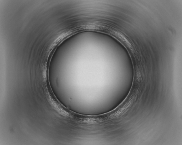 X0000112370938200908271315