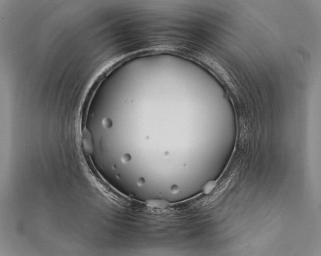 X0000112370939200908271315