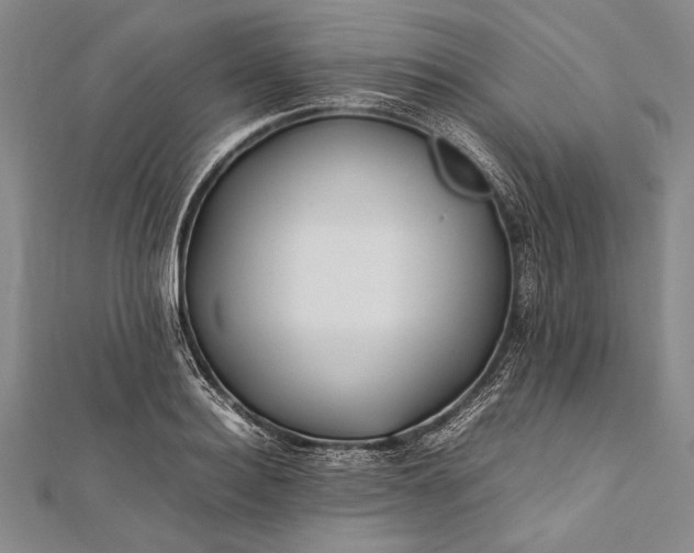 X0000112370940200908271315