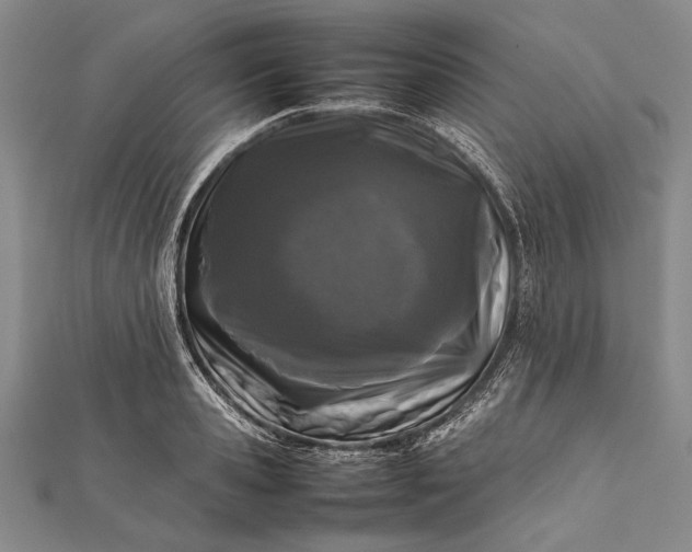 X0000112370941200908271315