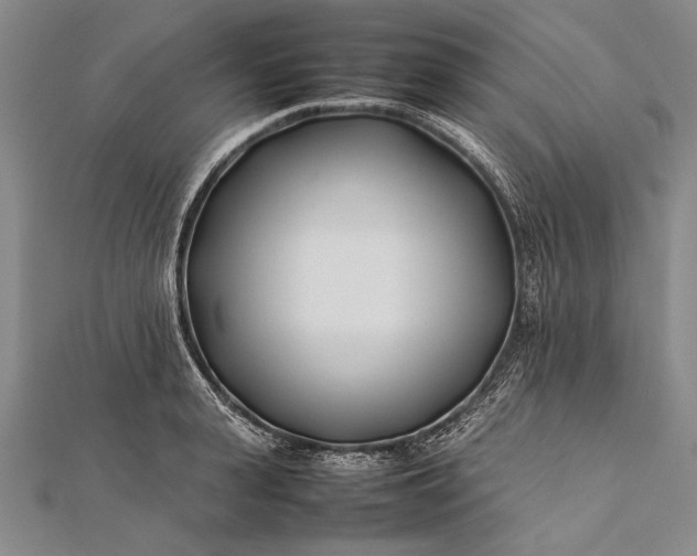 X0000112370943200908271315