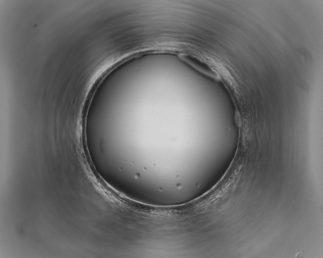 X0000112370944200908271315