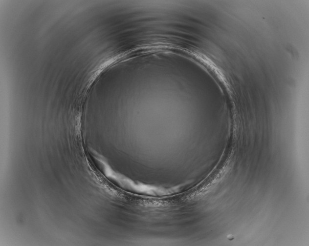 X0000112370945200908271315