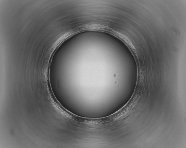 X0000112370946200908271315