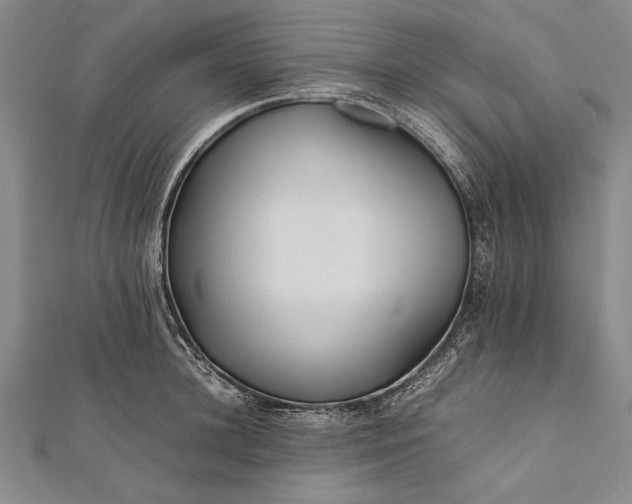 X0000112370948200908271315