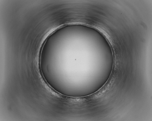 X0000112370949200908271315