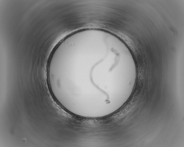 X0000112370950200908271315