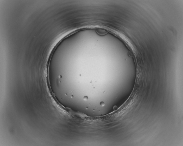 X0000112370951200908271315