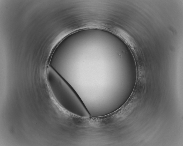 X0000112370952200908271315