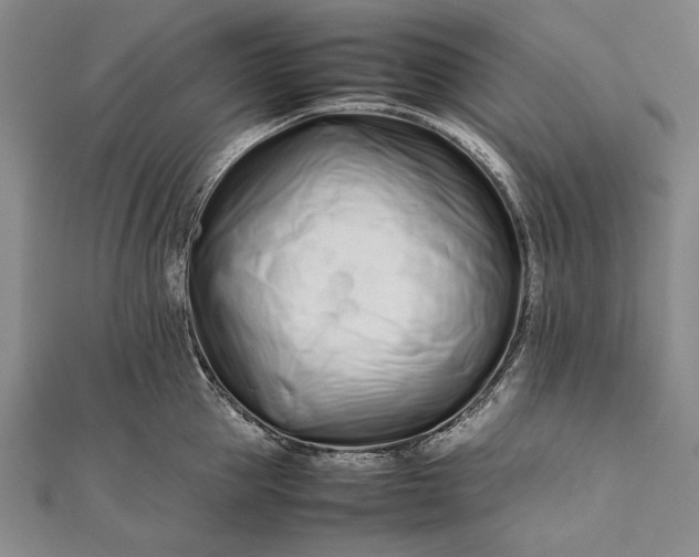 X0000112370953200908271315