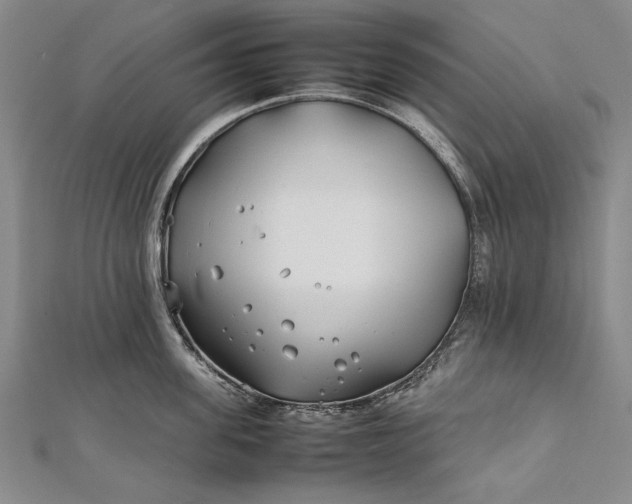 X0000112370955200908271315