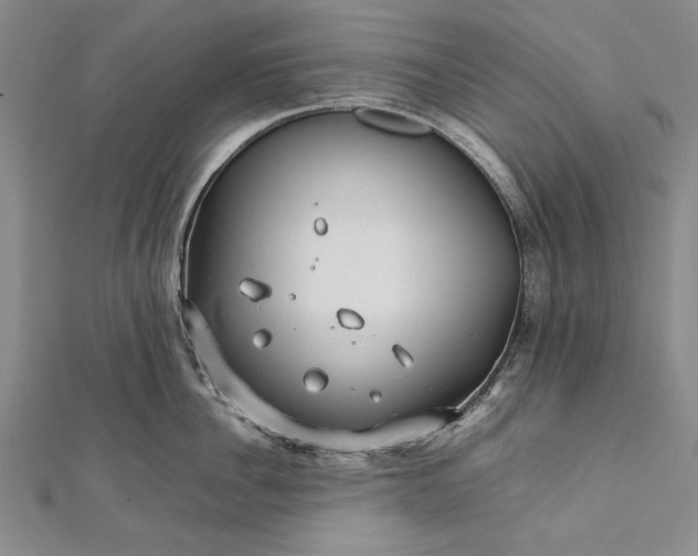 X0000112370956200908271315