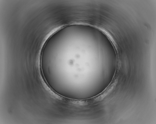 X0000112370957200908271315