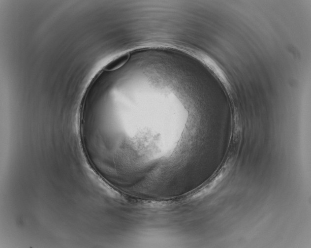 X0000112370958200908271315