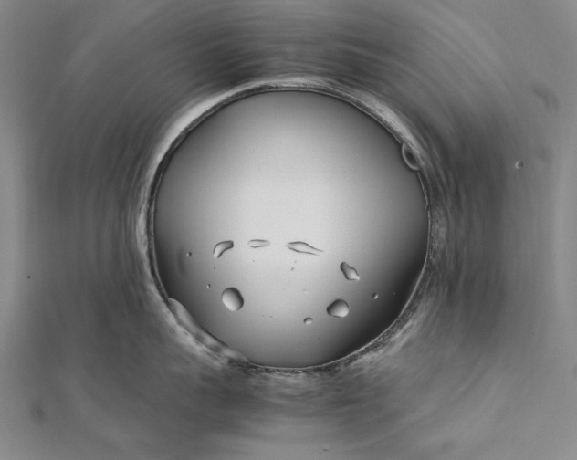 X0000112370959200908271315