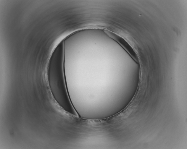 X0000112370960200908271315