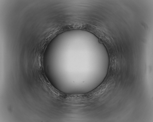 X0000112370962200908271314