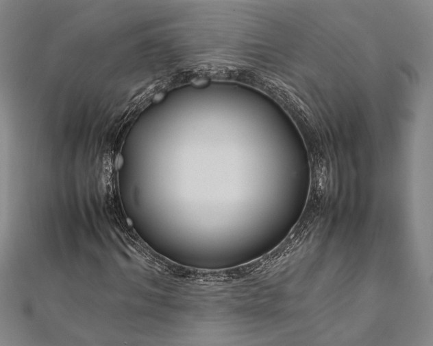 X0000112370964200908271314