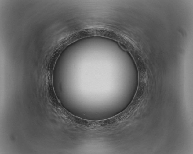 X0000112370965200908271314