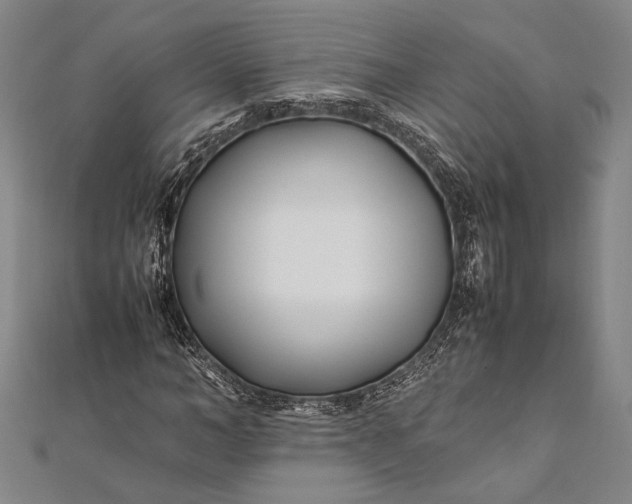 X0000112370966200908271314