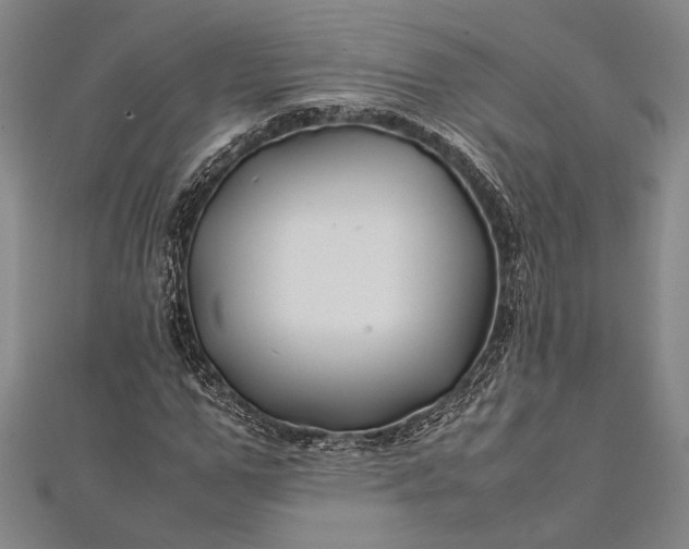 X0000112370967200908271314