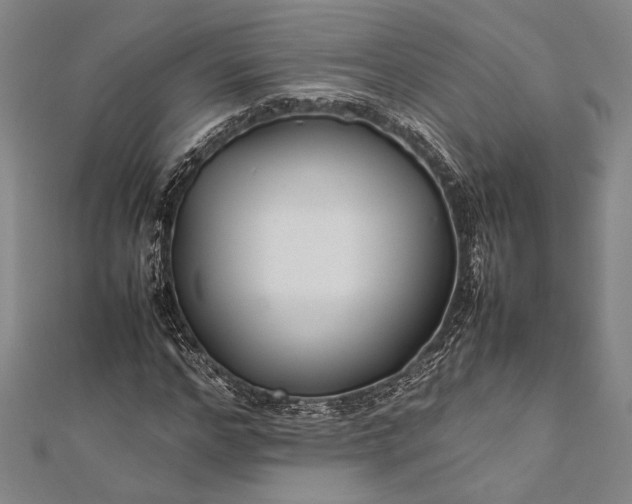 X0000112370968200908271314