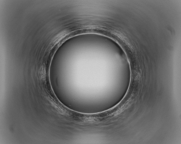 X0000112370969200908271314