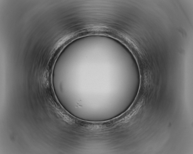 X0000112370970200908271314