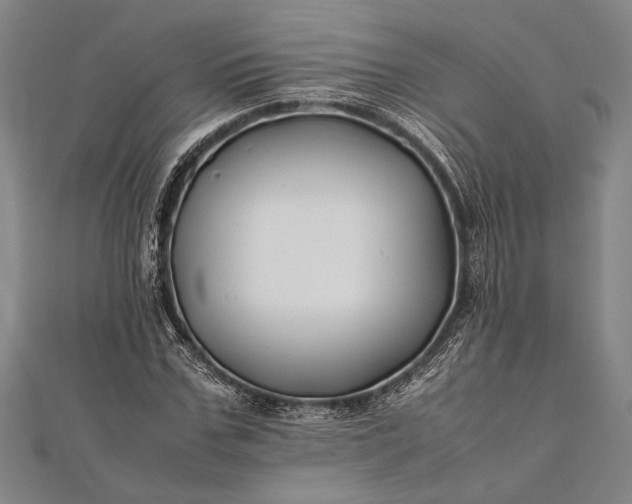 X0000112370971200908271314