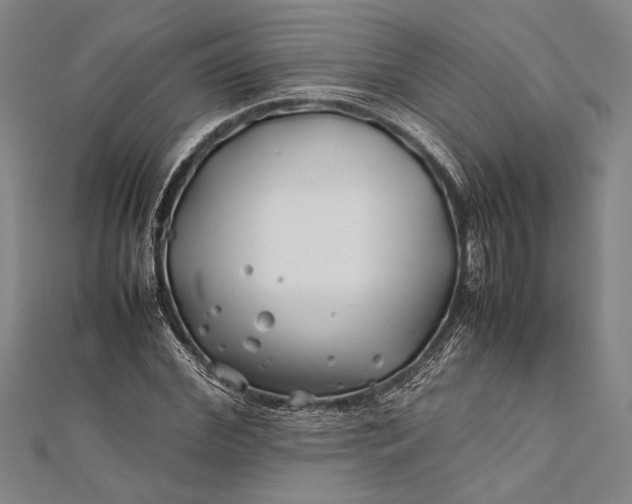 X0000112370972200908271314